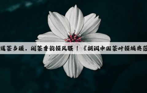 Kaiyun官方网站：胡风润道茶乡暖，闽茶香韵领风骚 | 《胡润中国茶叶领域典范企业榜》首次重磅发布！