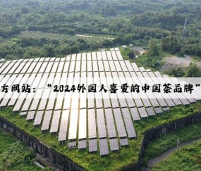 Kaiyun官方网站：“2024外国人喜爱的中国茶品牌”在沪揭晓